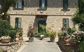 Edy House