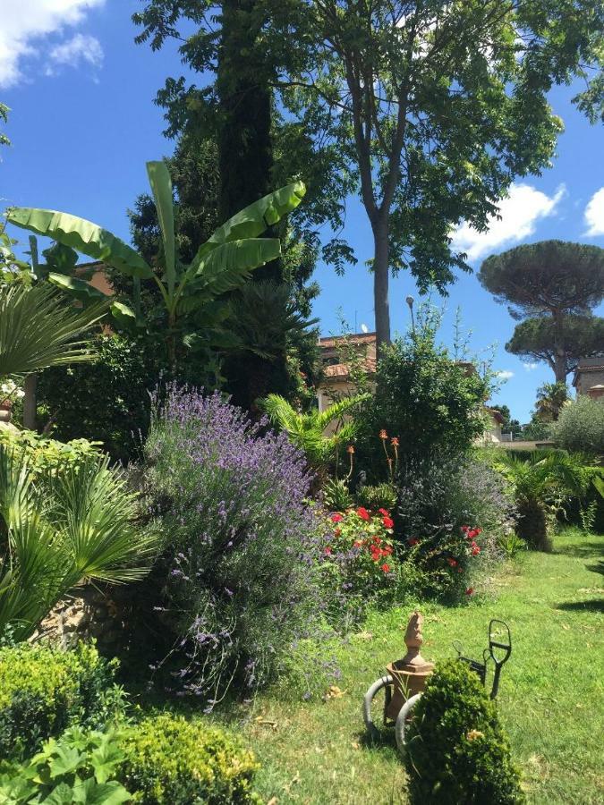 Edy House Appartamento Castiglione In Teverina Esterno foto